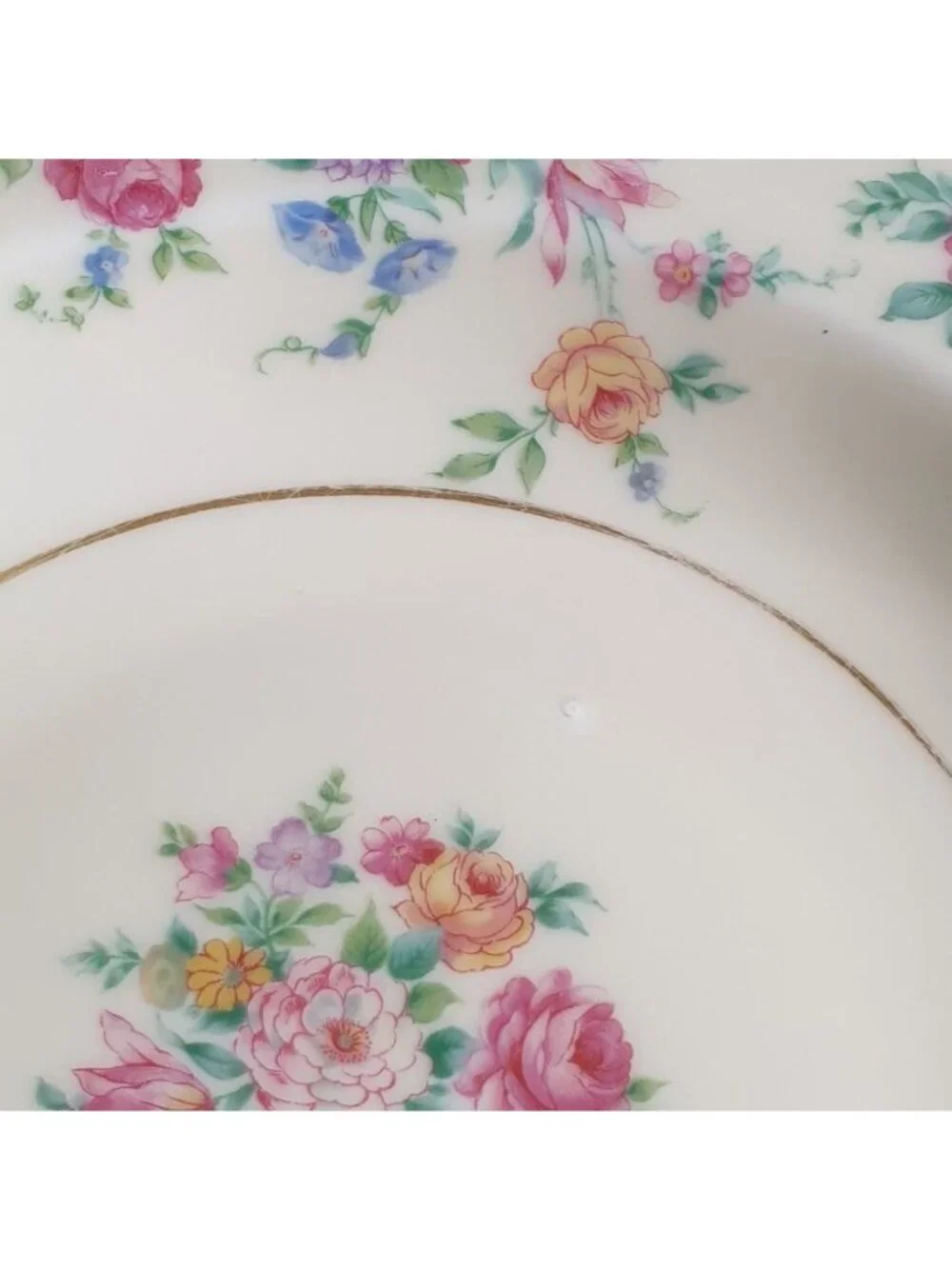 Thomas Ivory Bavaria Mayfair Floral Rimmed Soup Bowl Vintage Porcelain Gold Trim